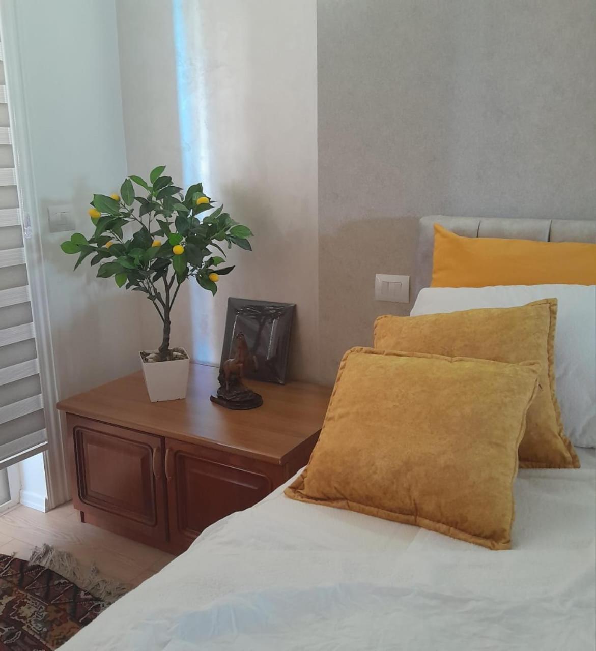 Bani'S Cozy Lovely Apt 티라나 외부 사진