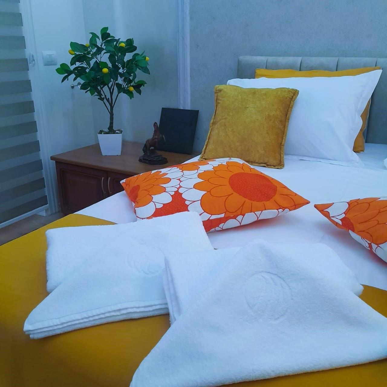 Bani'S Cozy Lovely Apt 티라나 외부 사진