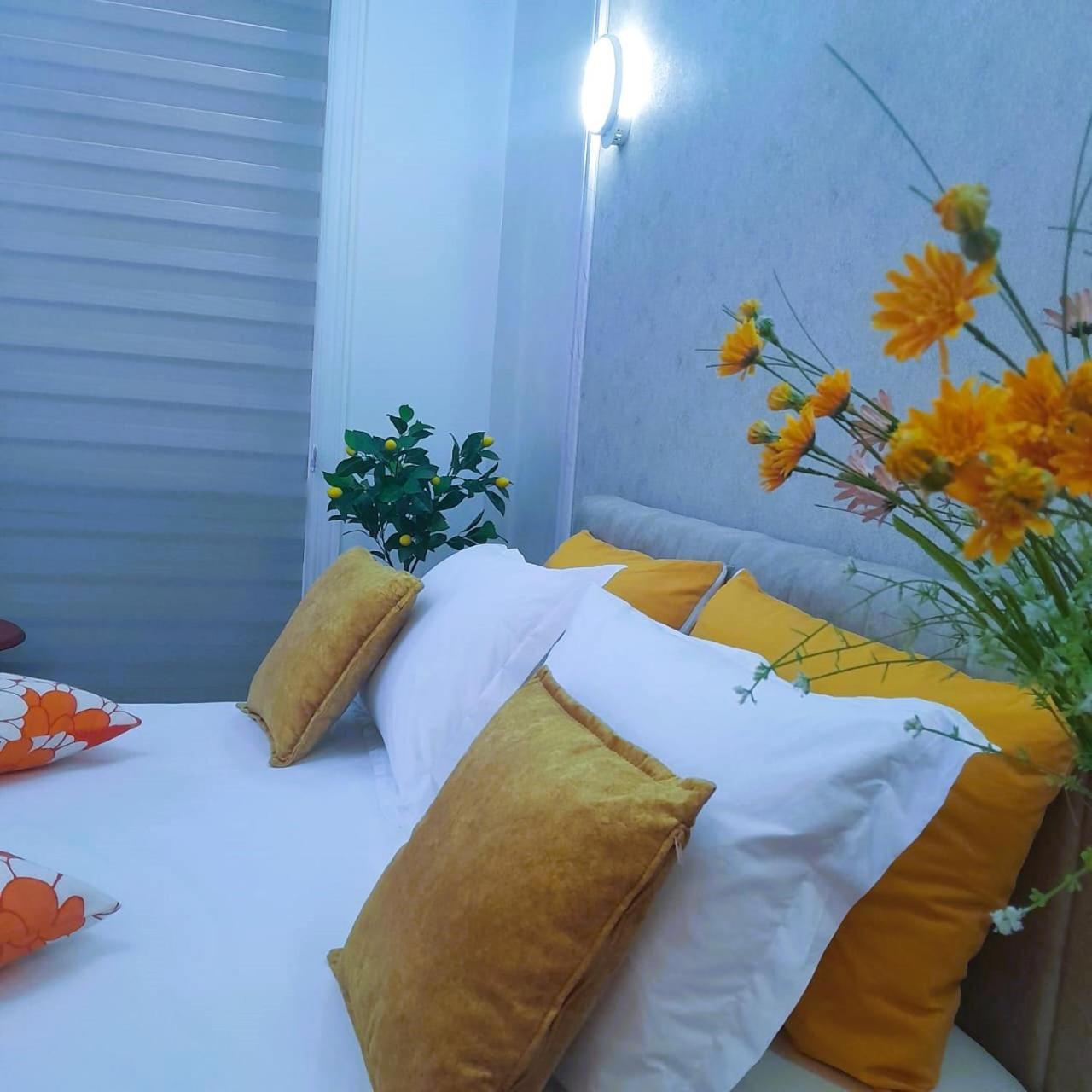 Bani'S Cozy Lovely Apt 티라나 외부 사진
